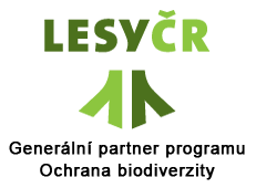 lesyvertikal